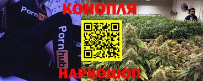 гашик Канаш