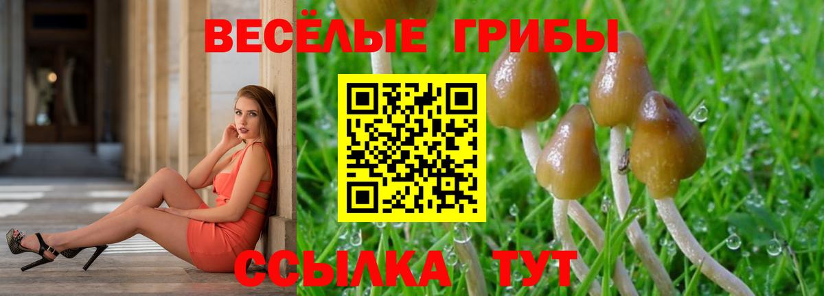 Галлюциногенные грибы Psilocybe  Галлюциногенные грибы MAGIC MUSHROOMS  Вход с VPN  Полевской 